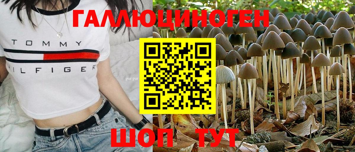 даркнет сайт  Галлюциногенные грибы Psilocybine cubensis  Псилоцибиновые грибы Cubensis  Вход с VPN  Керчь 