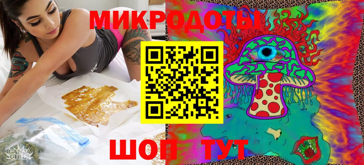 Галлюциногенные грибы Psilocybine cubensis Керчь